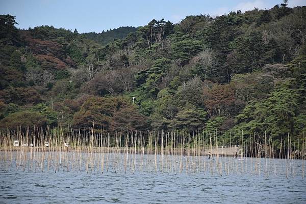 20191019~23 日本東北賞楓、採果、涵館５日3540