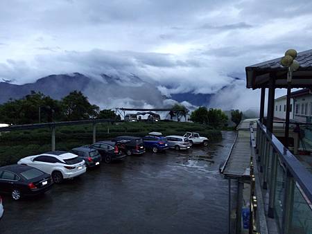 武界台興茶園 武界台興茶園
