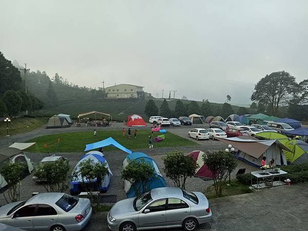 武界台興茶園 武界台興茶園