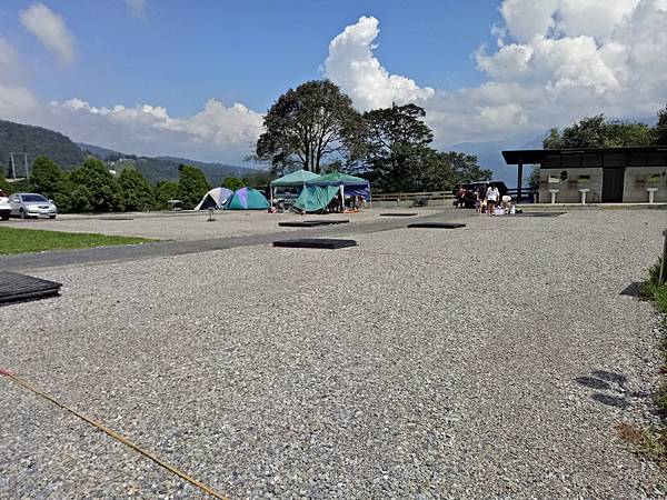 武界台興茶園 武界台興茶園