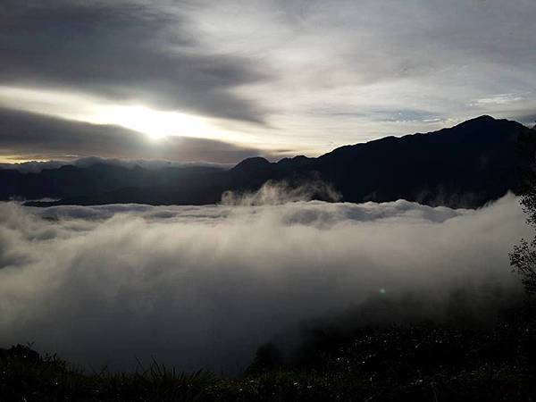 武界台興茶園 武界台興茶園