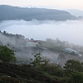 武界台興茶園