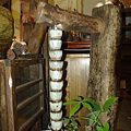 IMGP9646.JPG