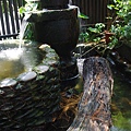 IMGP9647.JPG