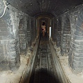 IMGP9685.JPG