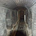 IMGP9686.JPG