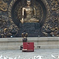 IMGP2006.JPG
