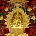 IMGP2044.JPG