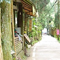 IMGP7836.JPG