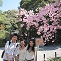 宇治上神社2.JPG