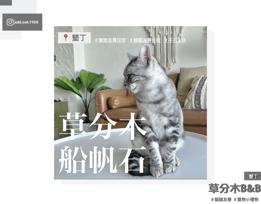 船帆石_potato.001.jpeg 船帆石_potato.001.jpeg