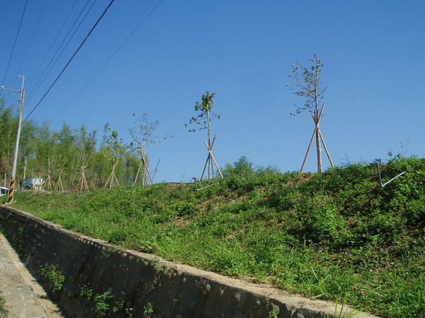 迦南地070422-102.JPG