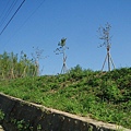 迦南地070422-102.JPG