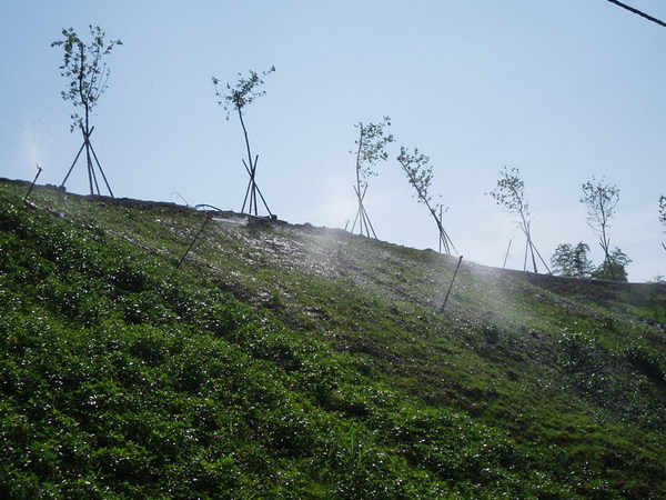 迦南地070422-103.JPG
