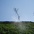 迦南地070422-104.JPG