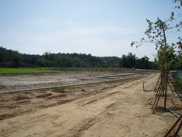 迦南地070422-106.JPG