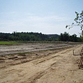 迦南地070422-106.JPG
