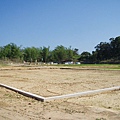 迦南地070422-107.JPG