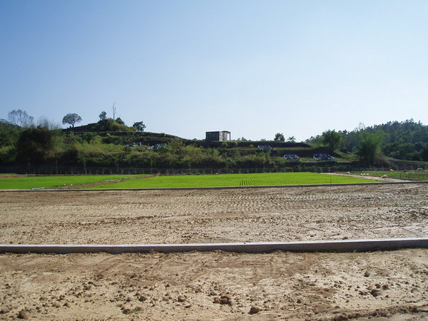 迦南地070422-108.JPG