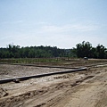 迦南地070422-109.JPG