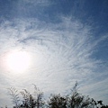 迦南地070422-112.JPG