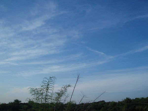 迦南地070422-113.JPG