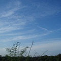 迦南地070422-113.JPG
