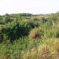 迦南地070422-114.JPG