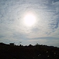 迦南地070422-115.JPG