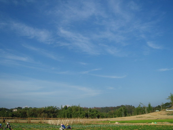 迦南地070422-116.JPG
