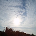 迦南地070422-117.JPG