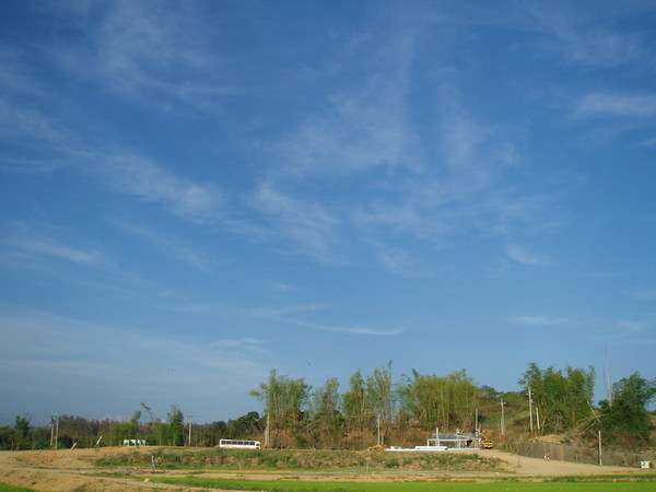 迦南地070422-119.JPG