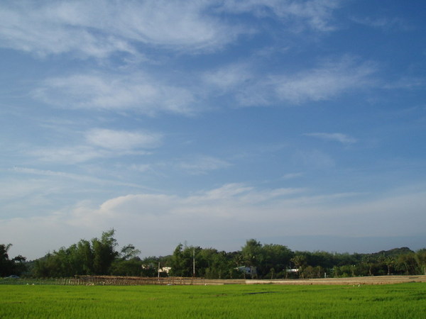 迦南地070422-120.JPG