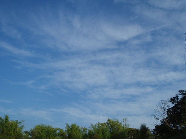 迦南地070422-121.JPG