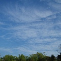 迦南地070422-121.JPG