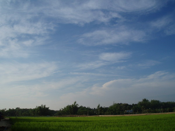 迦南地070422-122.JPG