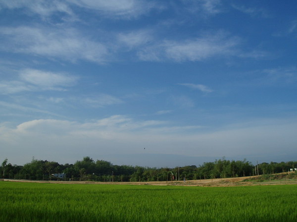 迦南地070422-123.JPG