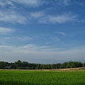 迦南地070422-123.JPG