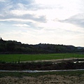 迦南地070422-125.JPG