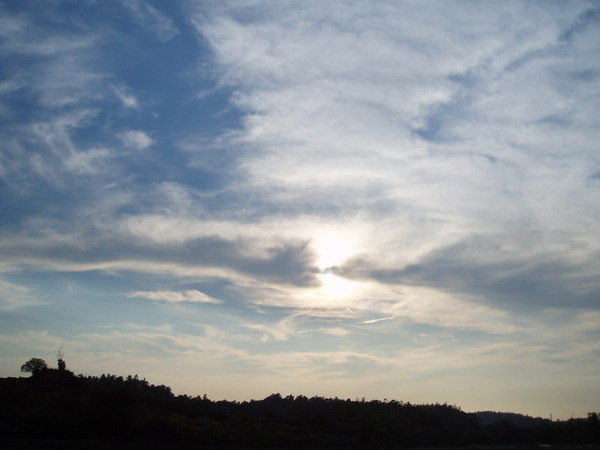 迦南地070422-126.JPG