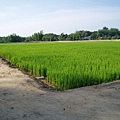 迦南地070422-096.JPG