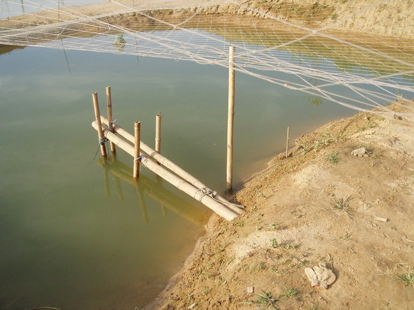 迦南地070422-130.JPG