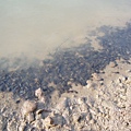 迦南地070422-132.JPG