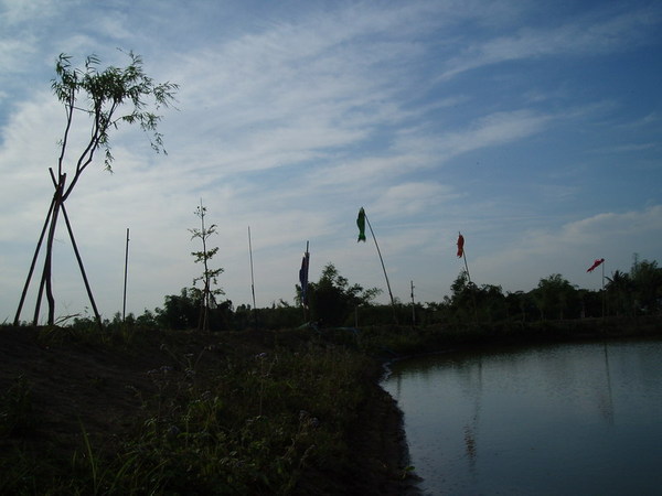 迦南地070422-134.JPG