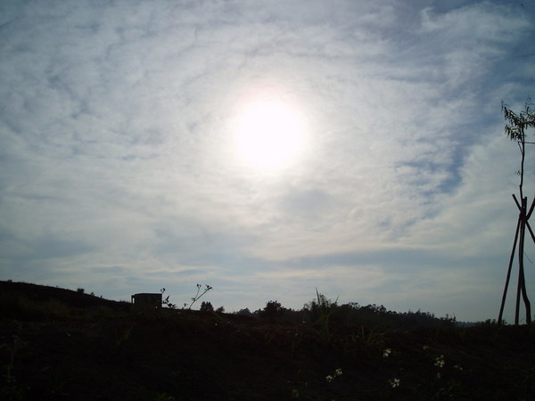 迦南地070422-135.JPG