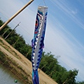 迦南地070422-137.JPG