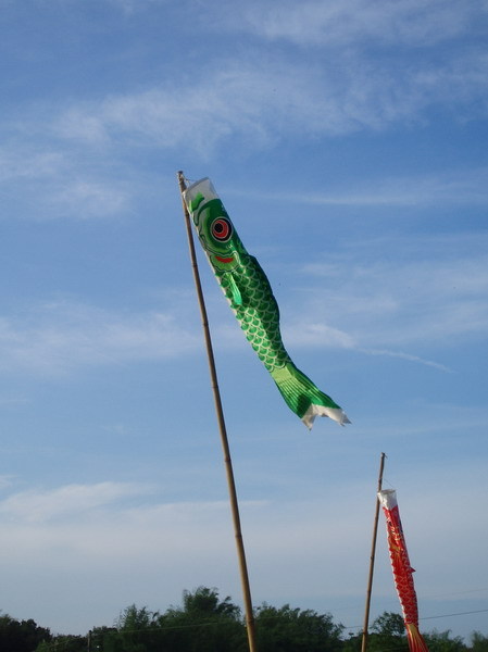 迦南地070422-138.JPG
