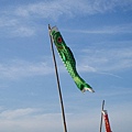 迦南地070422-138.JPG