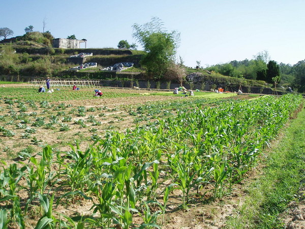 迦南地070422-054.JPG