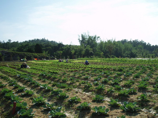 迦南地070422-077.JPG